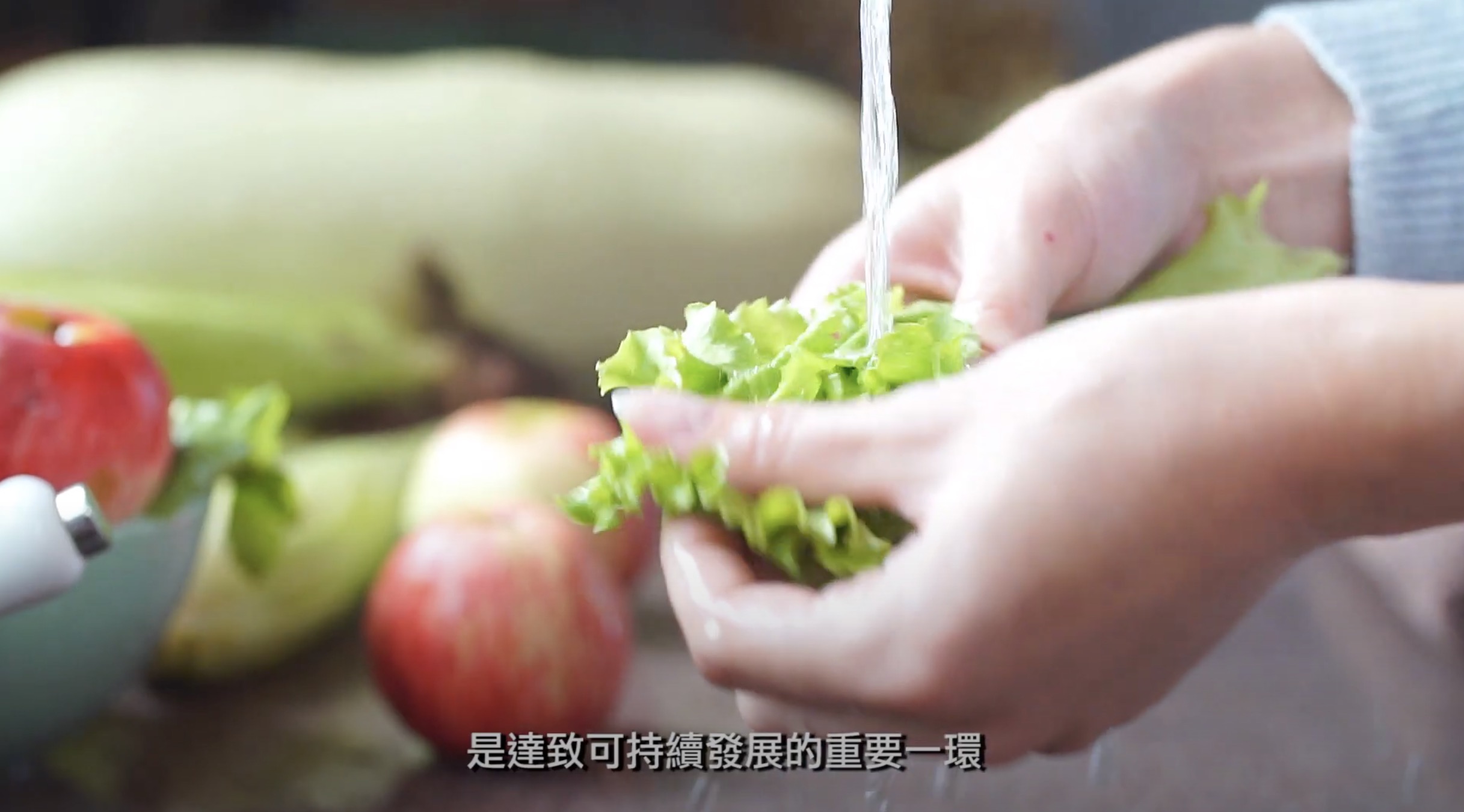 A person washes leafy lettuce under running water in a kitchen, with apples, zucchini, and other vegetables in the background. Chinese subtitles appear at the bottom of the image.