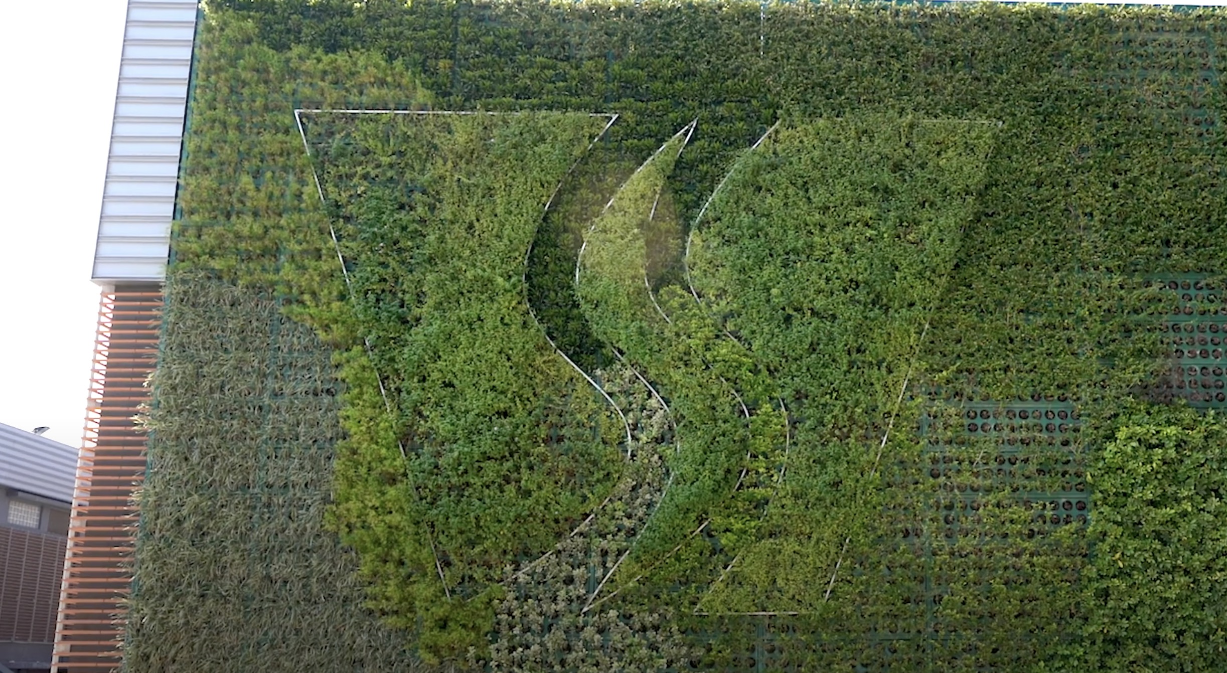 A living wall covered with green plants displays a stylized "S" shape outlined in negative space, forming a large symbol on the side of a building.