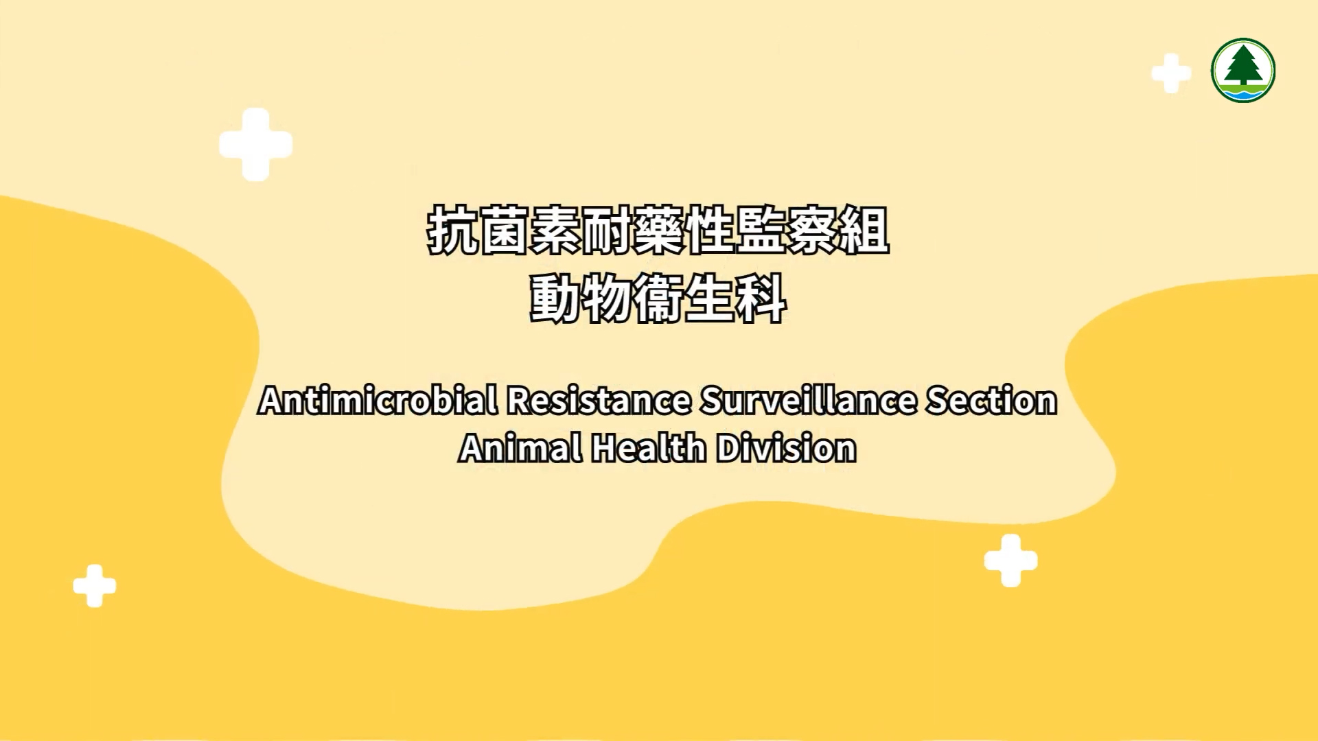 A graphic with Chinese and English text: “Antimicrobial Resistance Surveillance Section, Animal Health Division” on a yellow background with white crosses and the Animal Health Division logo in the top right corner.