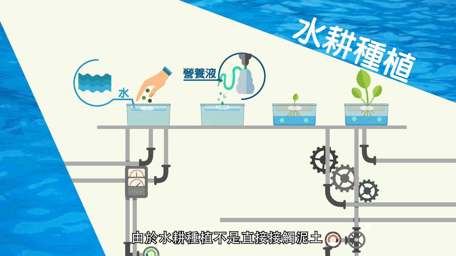 An illustrated diagram explains hydroponics, showing water and nutrient solution being added to containers with plants, pipes and gauges below, and Chinese text overlaid.