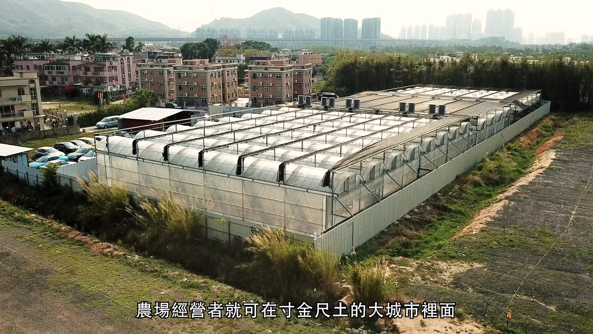 Aerial view of a large greenhouse in a semi-urban area with residential buildings and cars nearby. Chinese subtitles are overlaid at the bottom of the image.