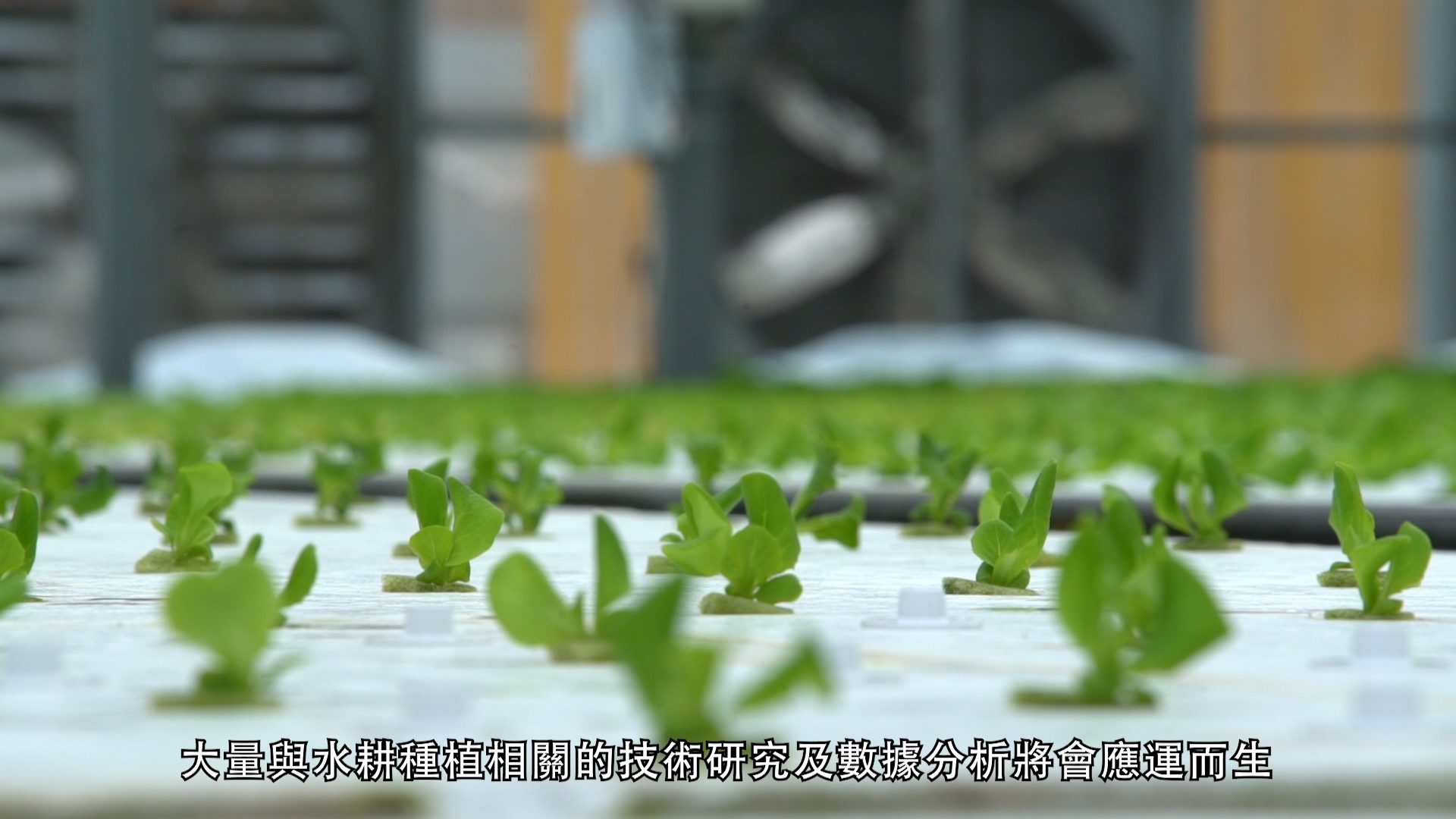 Rows of young green plants grow in a modern indoor hydroponic farm. Chinese text is overlaid at the bottom of the image.