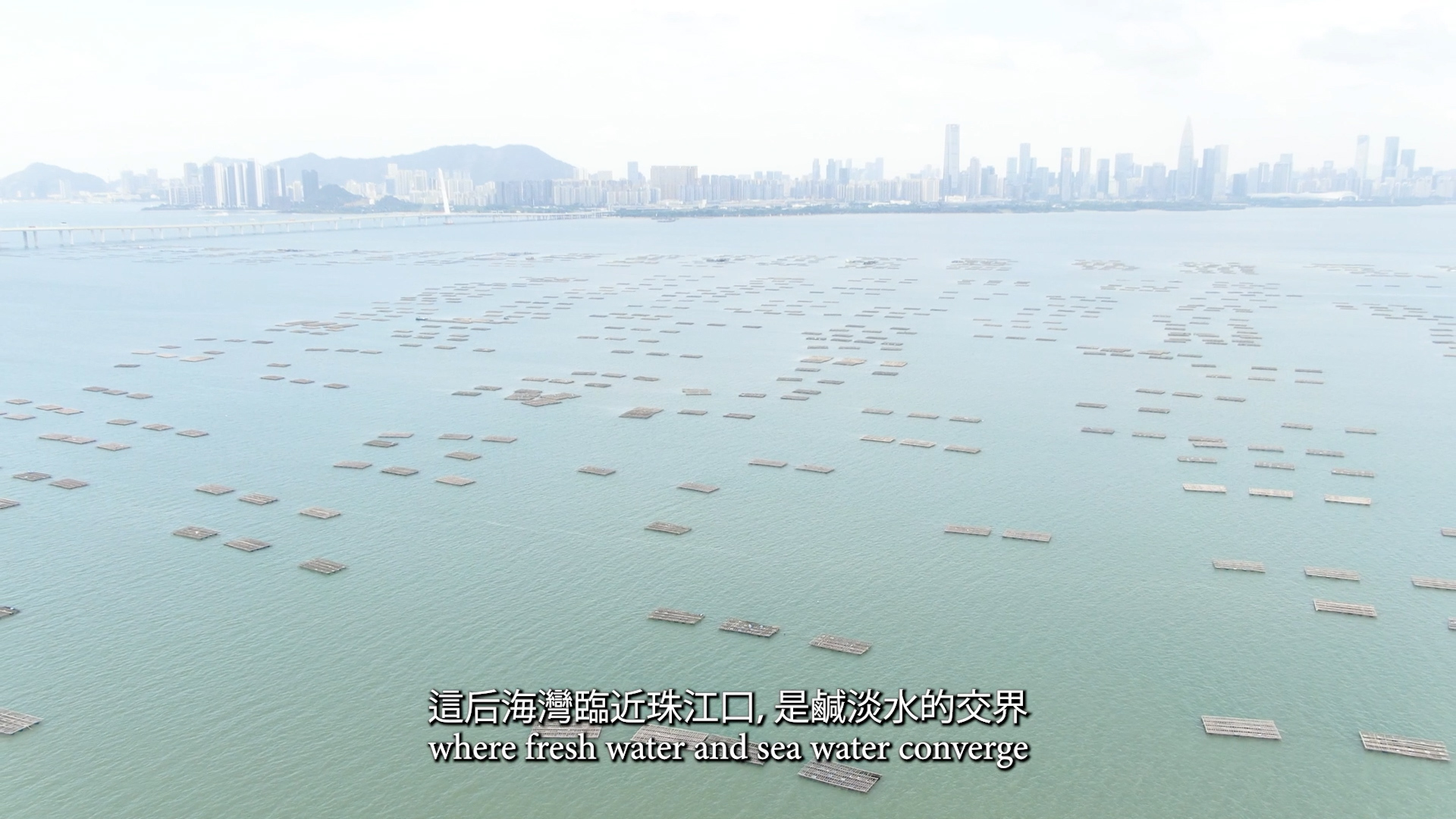 Aerial view of a coastal area with floating platforms on the water, a distant city skyline, and subtitles in Chinese and English that read, "where fresh water and sea water converge.