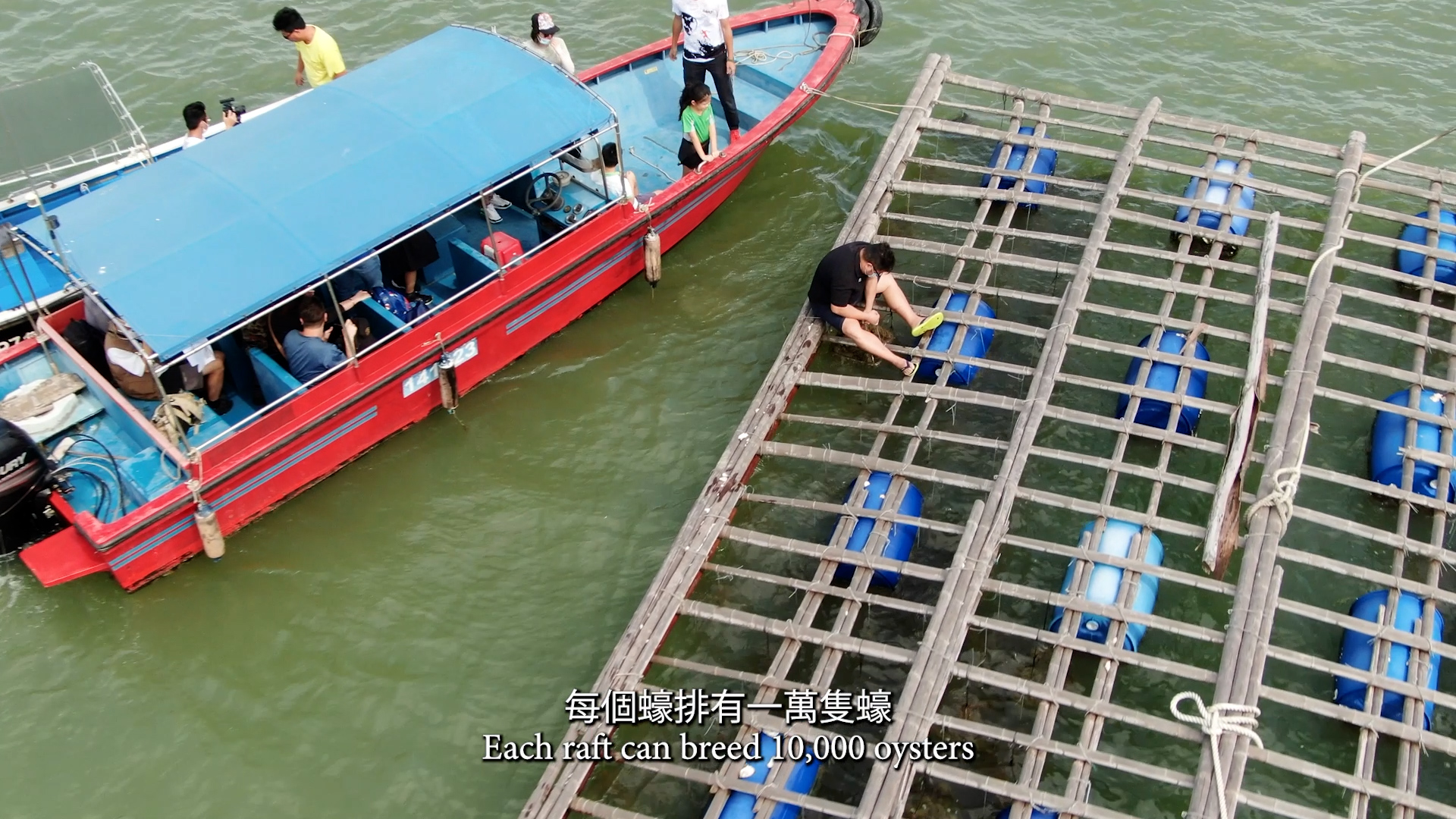 Aerial view of a red boat with passengers next to a wooden oyster raft on green water. A person tends to the raft. Subtitle: "Each raft can breed 10,000 oysters" in English and Chinese appears at the bottom.