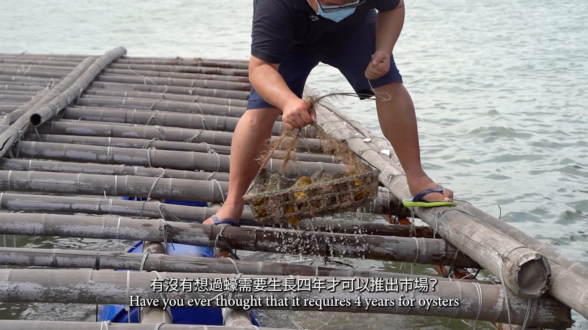 A person on a bamboo raft lifts a basket of oysters from the water, wearing a mask, shorts, and flip-flops. Text in Chinese and English reads: “Have you ever thought that it requires 4 years for oysters?”.