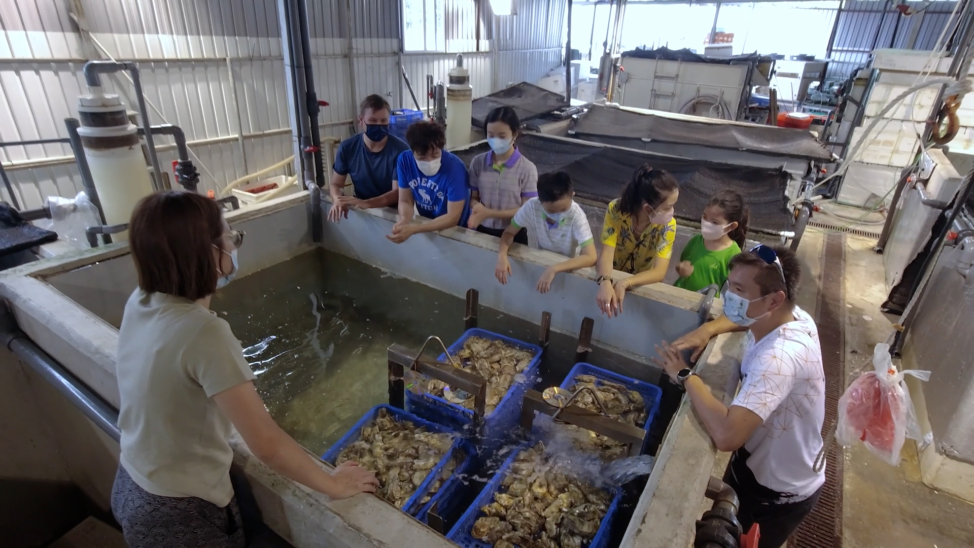 A group of people wearing masks gathers around a large indoor tank with trays of shellfish, listening to a woman explaining, inside an aquaculture facility.
