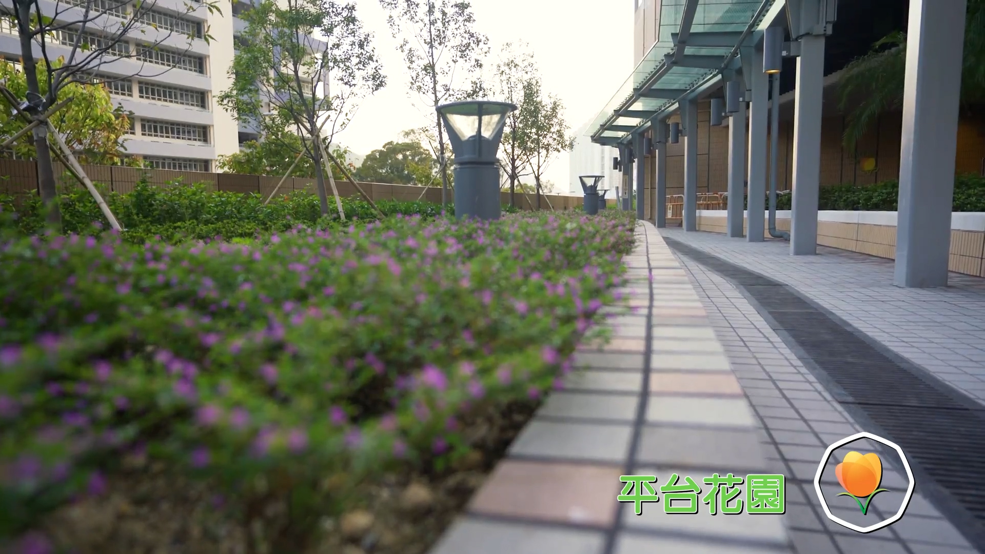 A paved walkway lined with small purple flowers and green shrubs beside a modern building. Lamp posts are evenly spaced along the path. Text and a flower icon appear in the lower right corner.