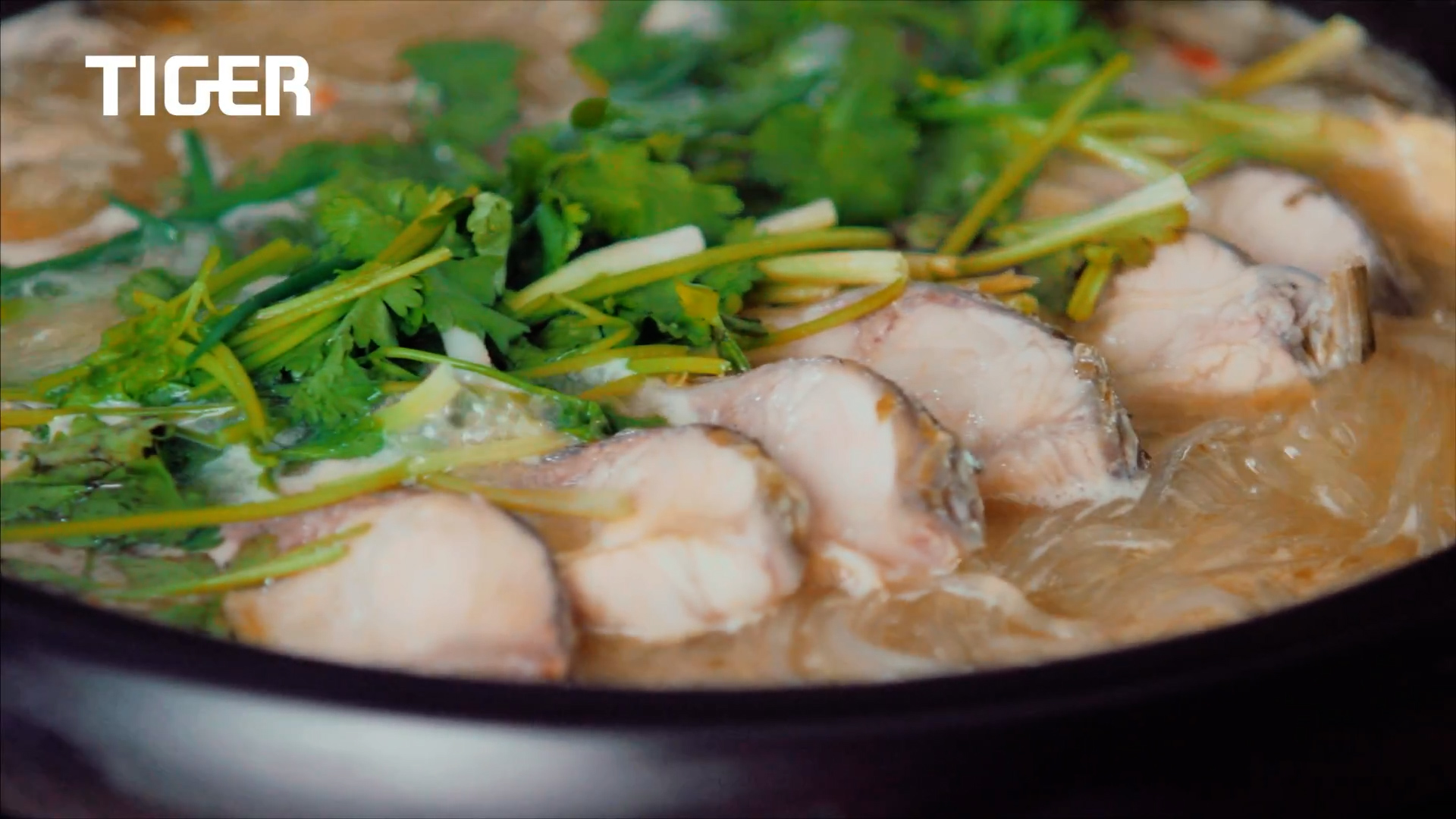 A close-up of a simmering pot filled with fish slices, glass noodles, and fresh cilantro, with the word "TIGER" in the top left corner.